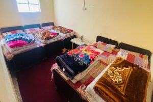 66bba5e5-ec0e-4575-ba80-9dcc036d18c7